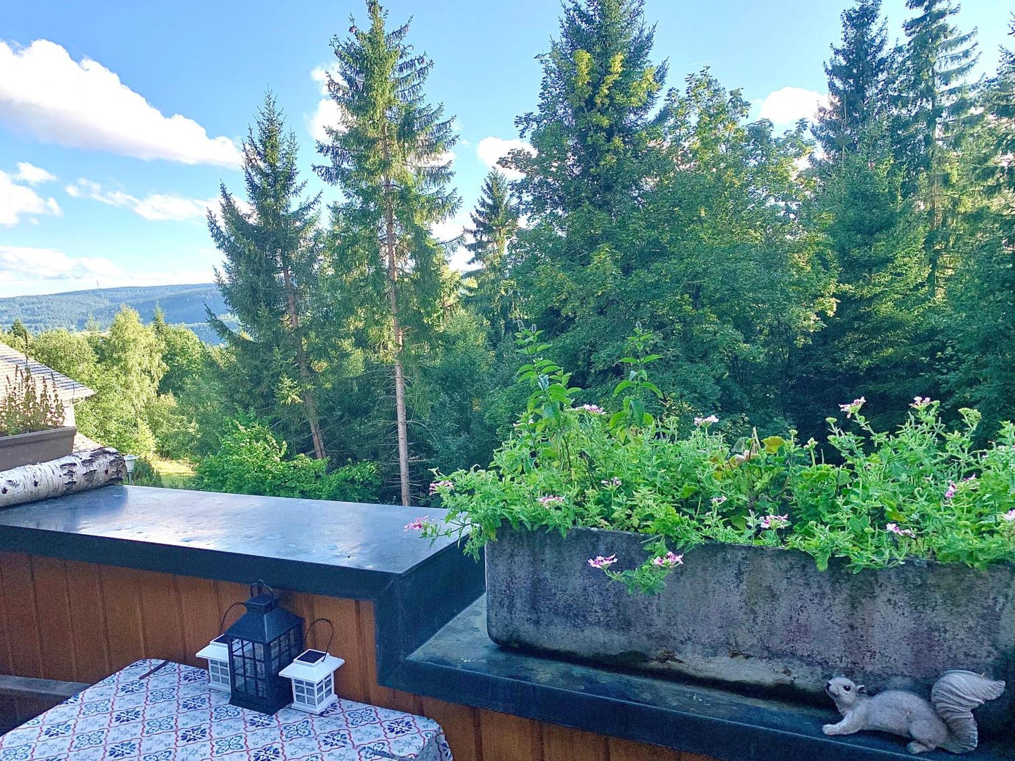 Fewo Fuchs Saig Lenzkirch Pokój zdjęcie